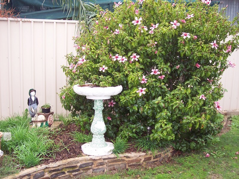 1 Gordon Avenue, St Agnes SA 5097