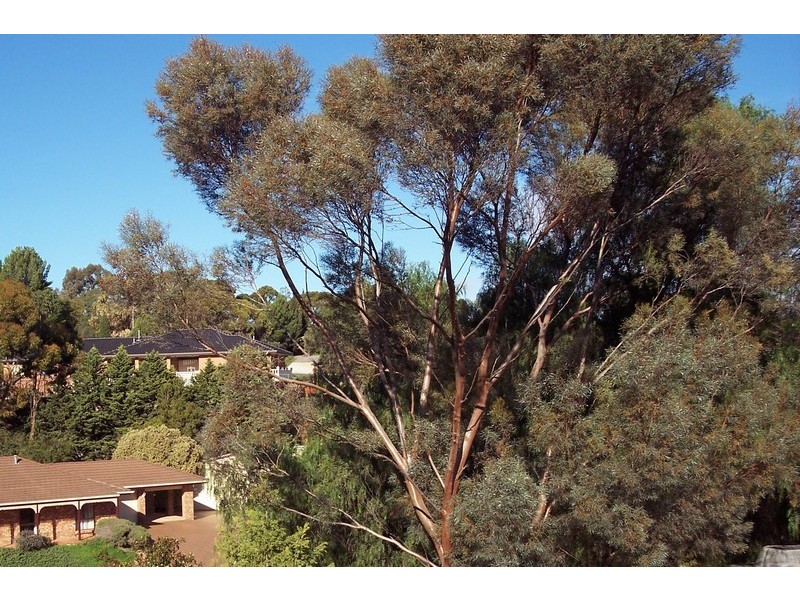 4 Dalinga Court, Salisbury Heights SA 5109