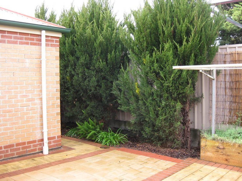 Unit 12, 58 Avenue Road, Paradise SA 5075