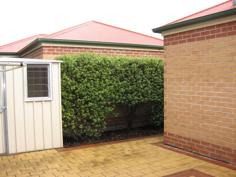Unit 12, 58 Avenue Road, Paradise SA 5075