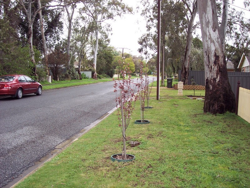 20 Susan Street, St Agnes SA 5097