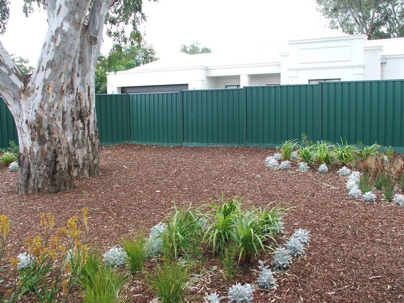 36  Milton Street, Tea Tree Gully SA 5091