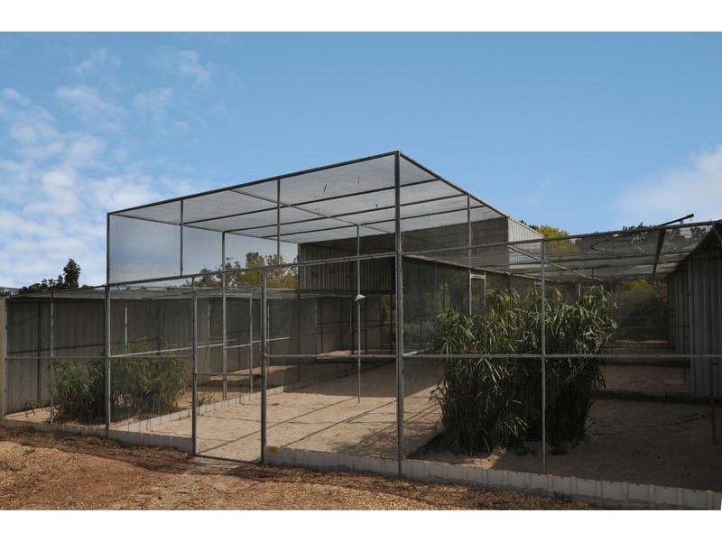 Lot 10 Bray Court, Gawler Belt SA 5118