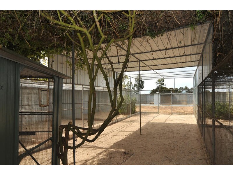 Lot 10 Bray Court, Gawler Belt SA 5118