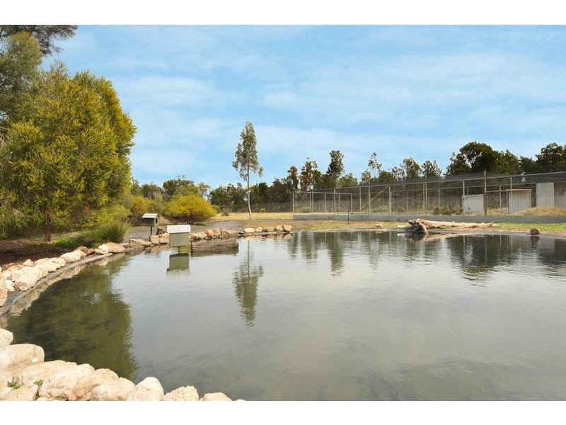 Lot 10 Bray Court, Gawler Belt SA 5118