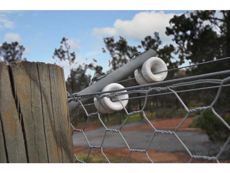 Lot 10 Bray Court, Gawler Belt SA 5118
