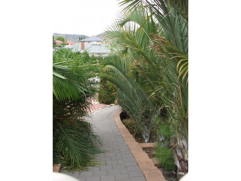 7 Walker Place, Highbury SA 5089