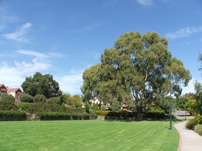 35 Coley Place, Greenwith SA 5125