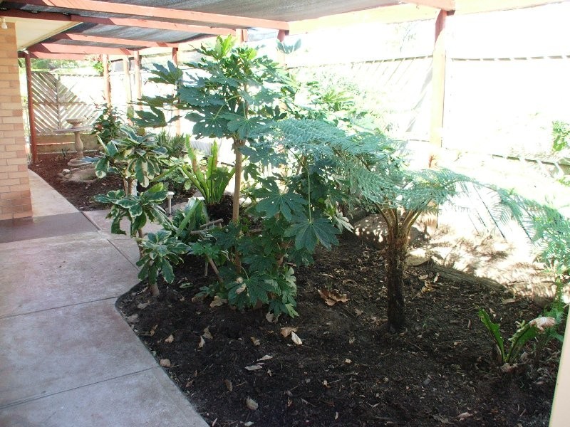 18 Cremin Street, Fairview Park SA 5126