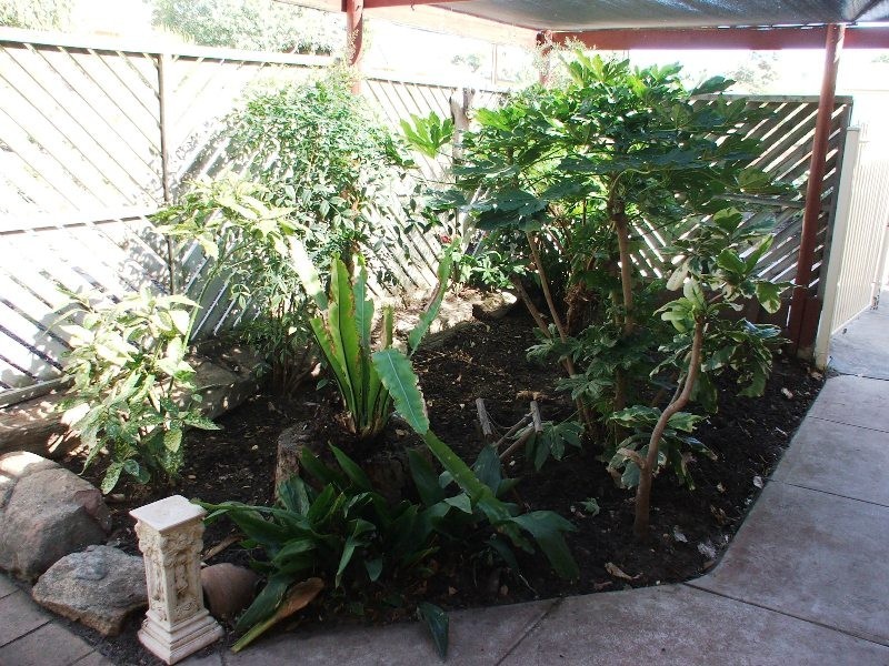 18 Cremin Street, Fairview Park SA 5126