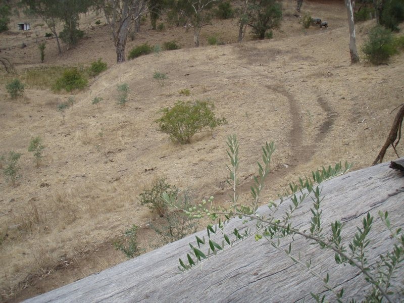 Lot 311 NE Taylors Road, One Tree Hill SA 5114