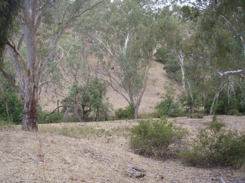 Lot 311 NE Taylors Road, One Tree Hill SA 5114