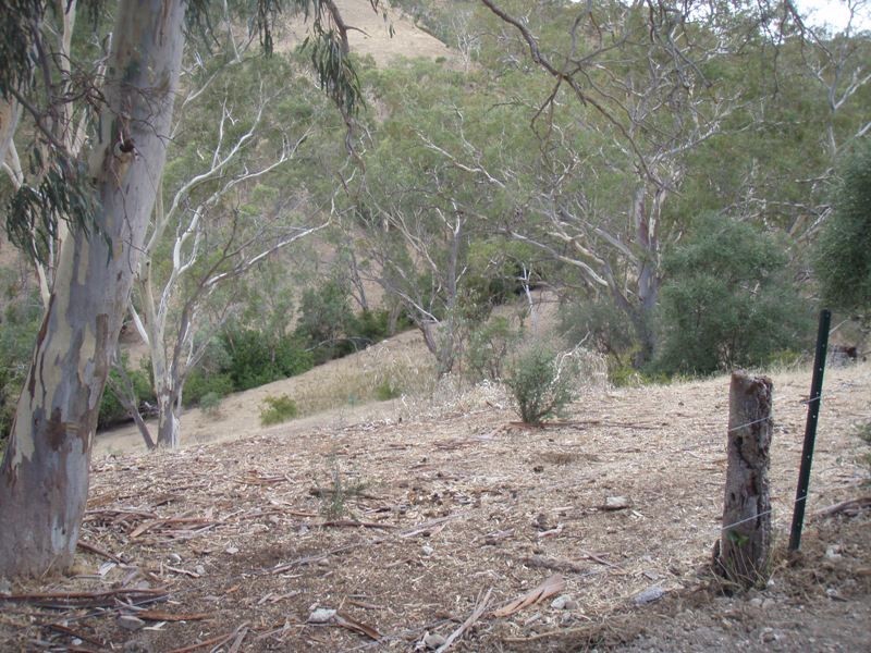 Lot 311 NE Taylors Road, One Tree Hill SA 5114