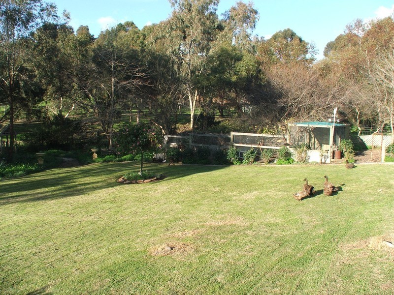 12 Lorna Court, One Tree Hill SA 5114