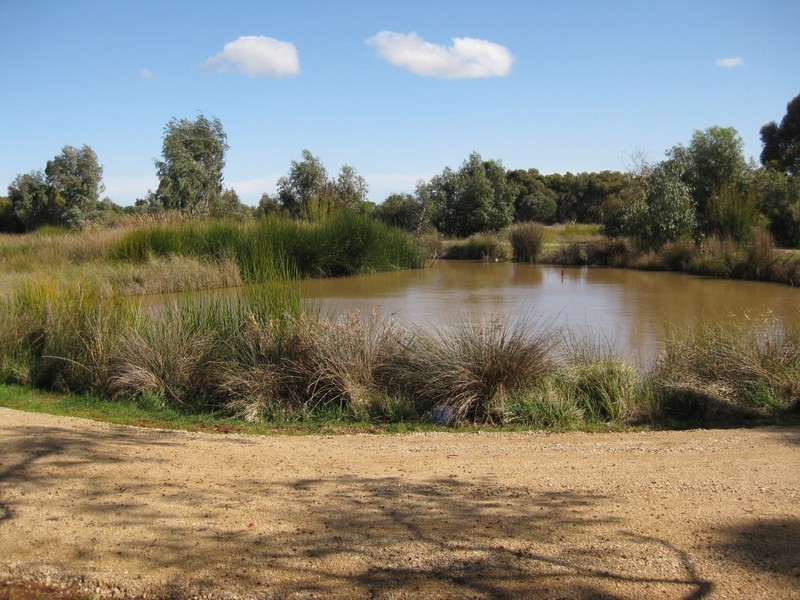 41 Shillabeer Road, Elizabeth Park SA 5113