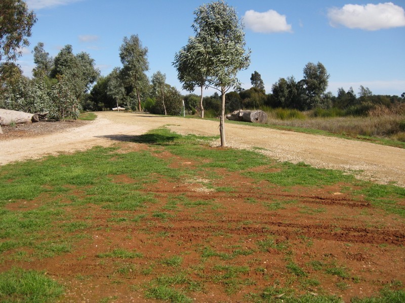 41 Shillabeer Road, Elizabeth Park SA 5113