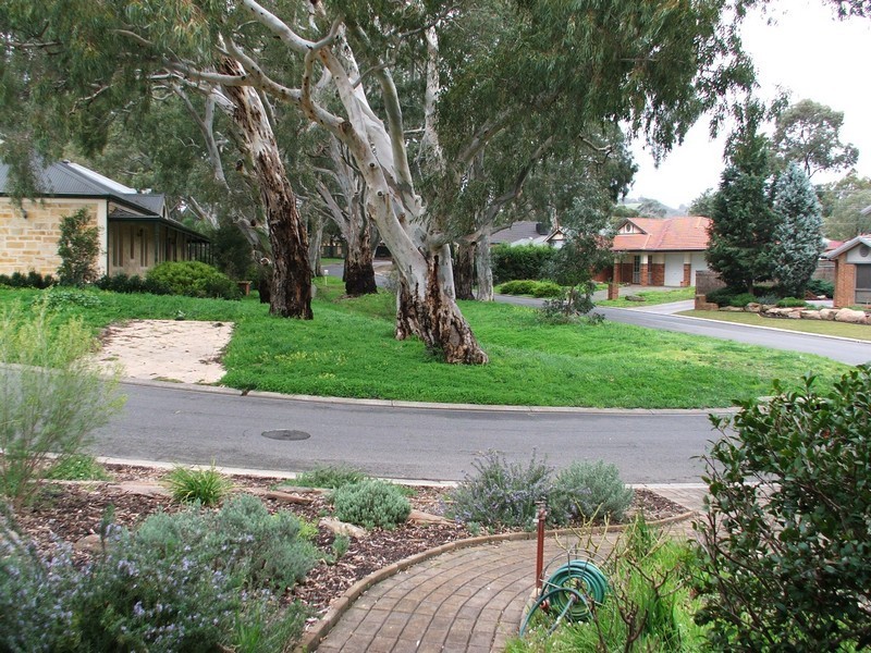 14 Miller Avenue, Ridgehaven SA 5097