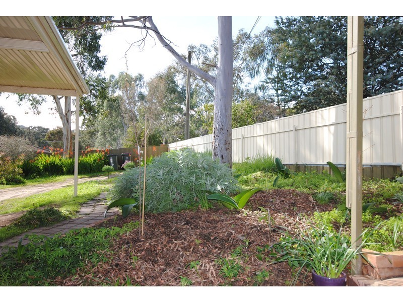 111 Hancock Road, Tea Tree Gully SA 5091