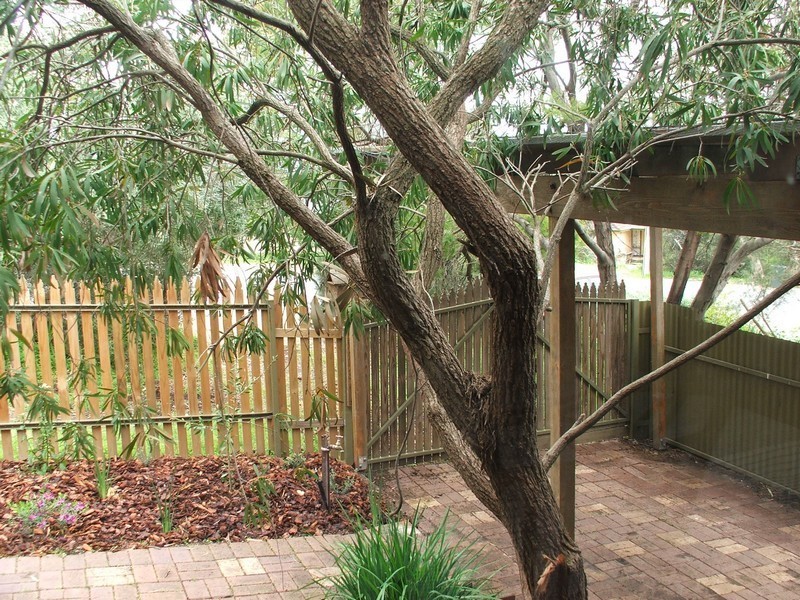 111 Hancock Road, Tea Tree Gully SA 5091