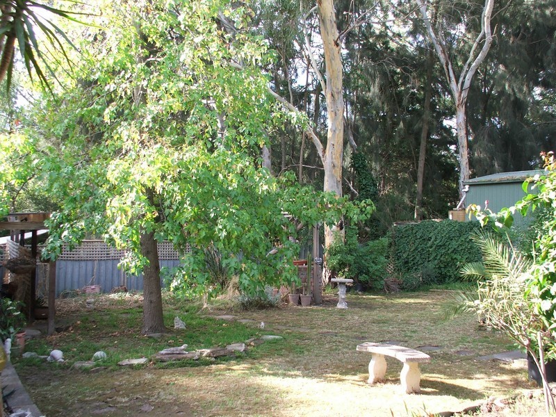 20 Coulls Road, Banksia Park SA 5091