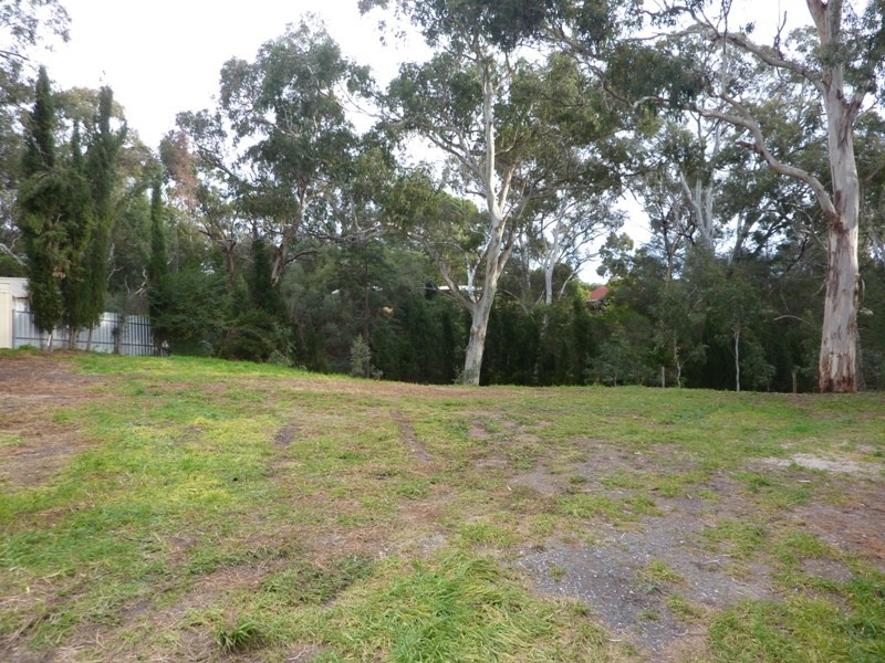 Lot 101 Elizabeth Street, Banksia Park SA 5091