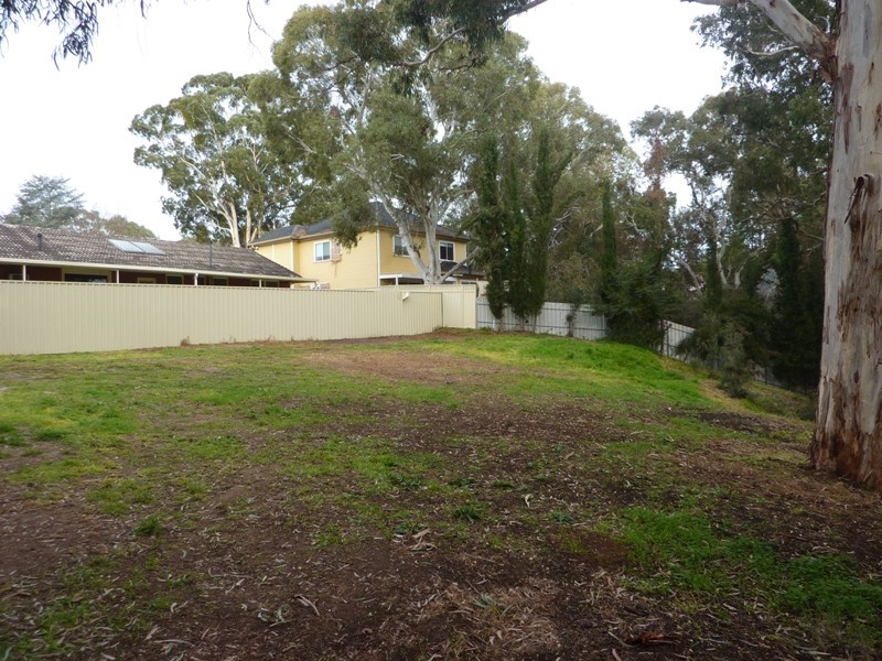 Lot 101 Elizabeth Street, Banksia Park SA 5091