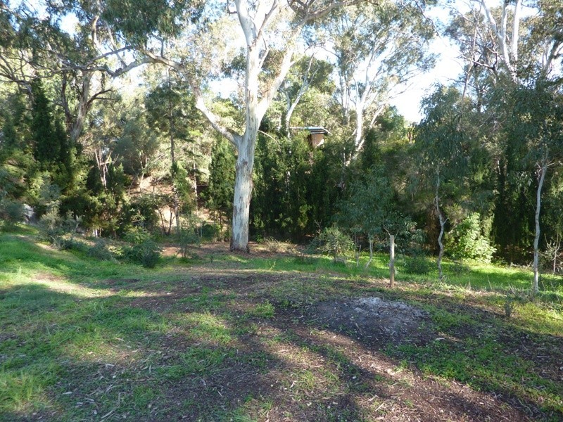 Lot 101 Elizabeth Street, Banksia Park SA 5091