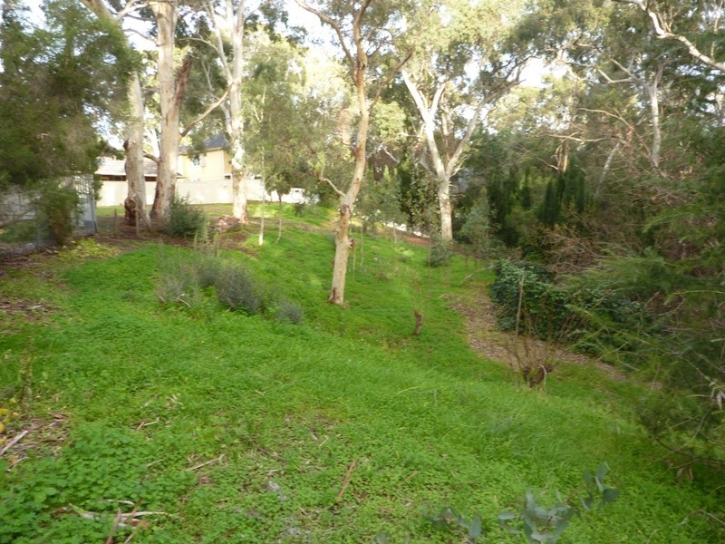 Lot 101 Elizabeth Street, Banksia Park SA 5091