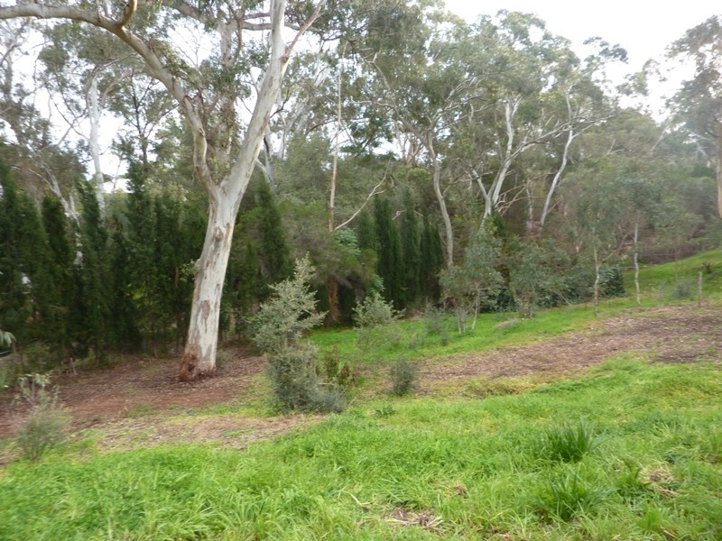 Lot 101 Elizabeth Street, Banksia Park SA 5091