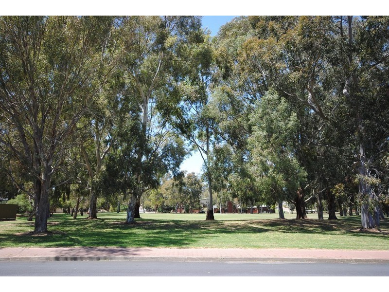38 Botanic Grove, Campbelltown SA 5074