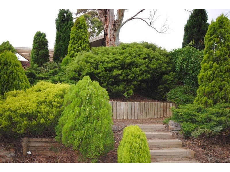 25 Waitara Road, Banksia Park SA 5091