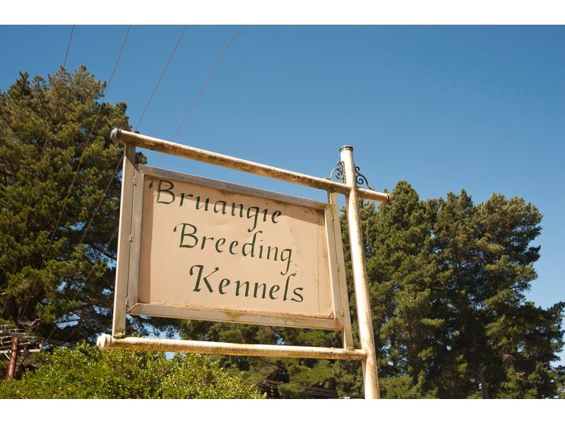 Lot 11 Mawson Road, Lenswood SA 5240