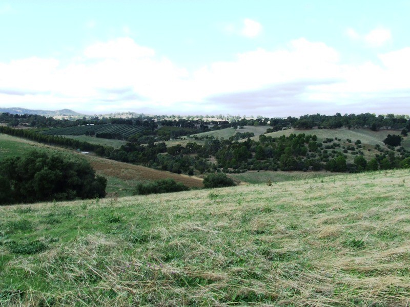 Lot 1 Johnson Road, One Tree Hill SA 5114