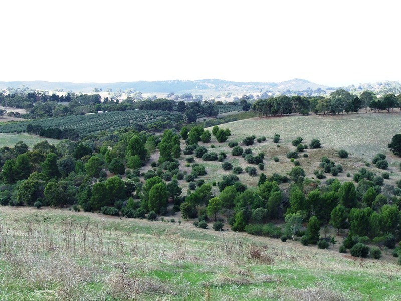 Lot 1 Johnson Road, One Tree Hill SA 5114