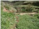 Lot 100 Gawler One Tree Hill Rd, Yattalunga SA 5114