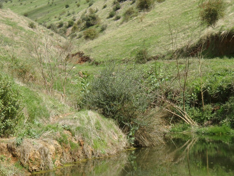 Lot 100 Gawler One Tree Hill Rd, Yattalunga SA 5114
