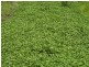 Lot 100 Gawler One Tree Hill Rd, Yattalunga SA 5114