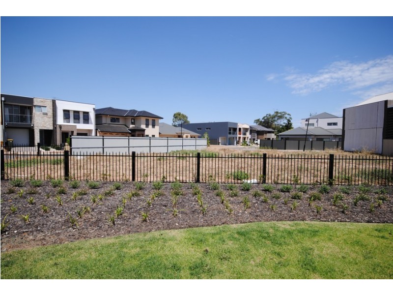 50 Douglas Drive, Mawson Lakes SA 5095