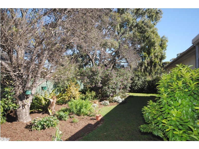 40 Botanic Grove, Campbelltown SA 5074
