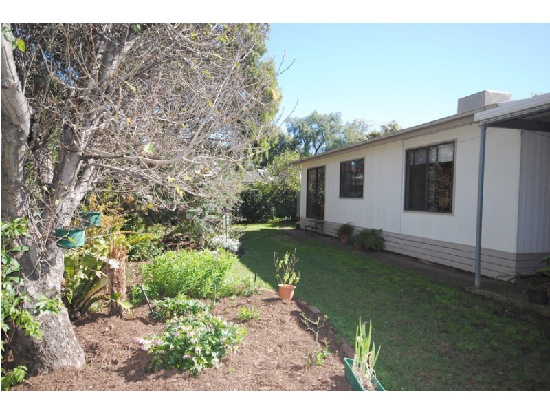 40 Botanic Grove, Campbelltown SA 5074