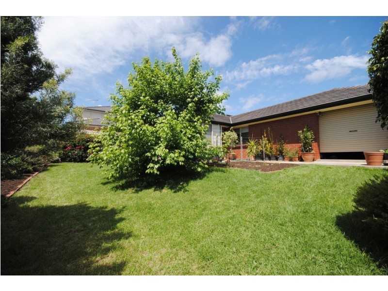 6 Amelio Walk, Flagstaff Hill SA 5159