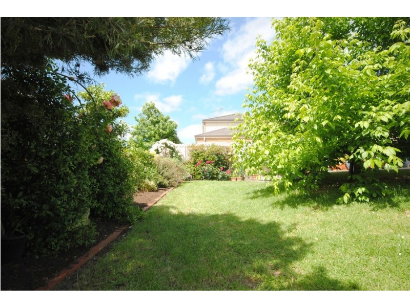 6 Amelio Walk, Flagstaff Hill SA 5159