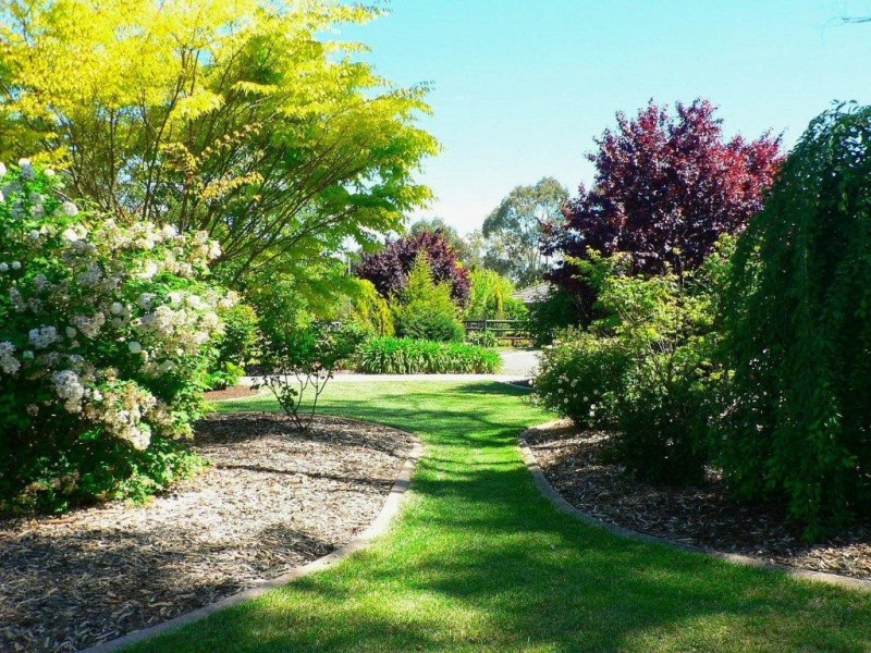 3 Bell Court, Charleston SA 5244