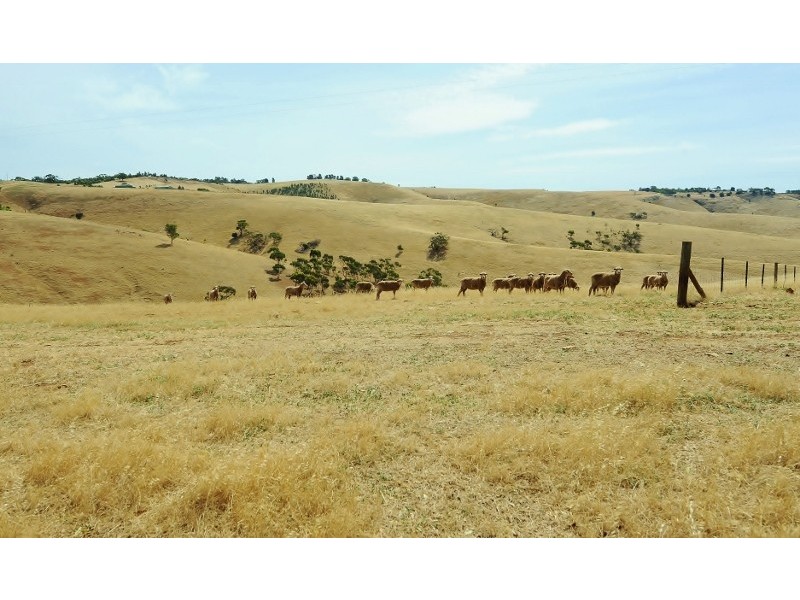 Lot 39 Riggs Road, One Tree Hill SA 5114