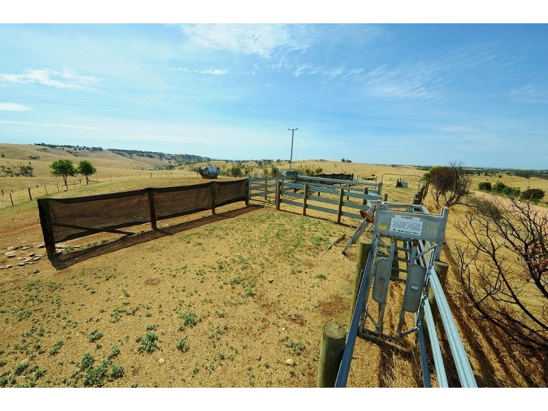 Lot 39 Riggs Road, One Tree Hill SA 5114