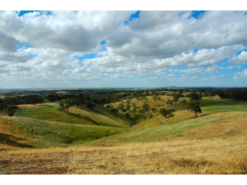 Lots 711-714 Allendale Road, Kalbeeba SA 5118