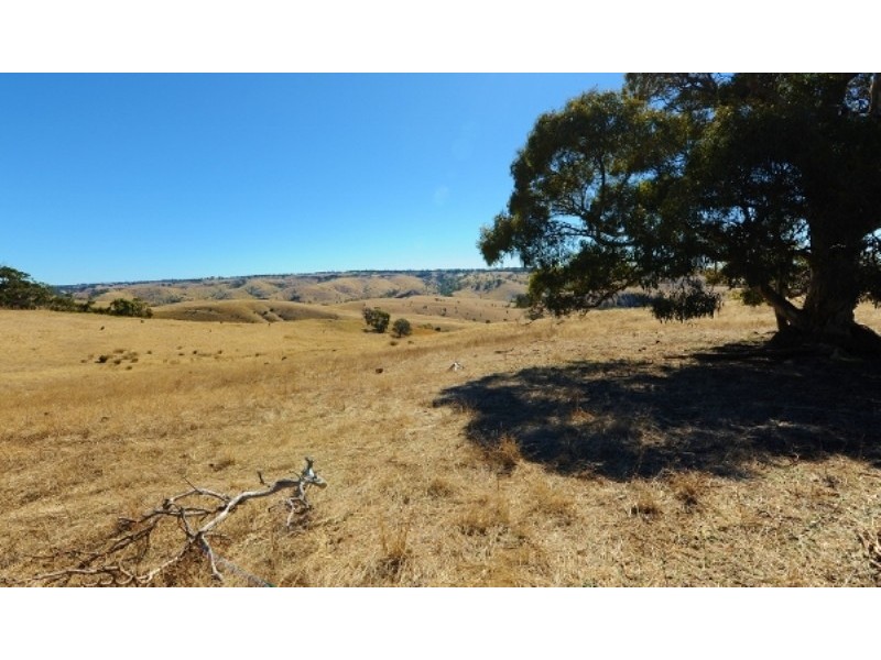 Lots 711-714 Allendale Road, Kalbeeba SA 5118