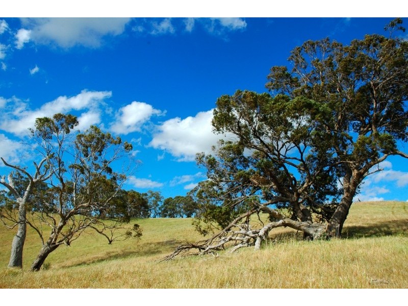 Lots 711-714 Allendale Road, Kalbeeba SA 5118