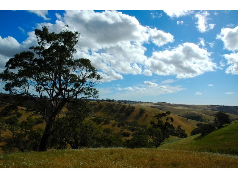 Lots 711-714 Allendale Road, Kalbeeba SA 5118