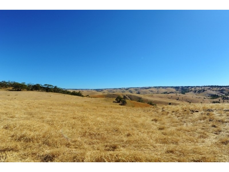 Lots 711-714 Allendale Road, Kalbeeba SA 5118